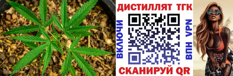 Дистиллят ТГК Wax  Певек 