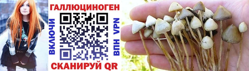 купить закладку  Певек  OMG ССЫЛКА  Галлюциногенные грибы Magic Shrooms 